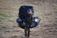 post-8405-0-02099100-1358628202_thumb.jp