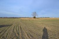 post-8405-0-46020800-1359058356_thumb.jp