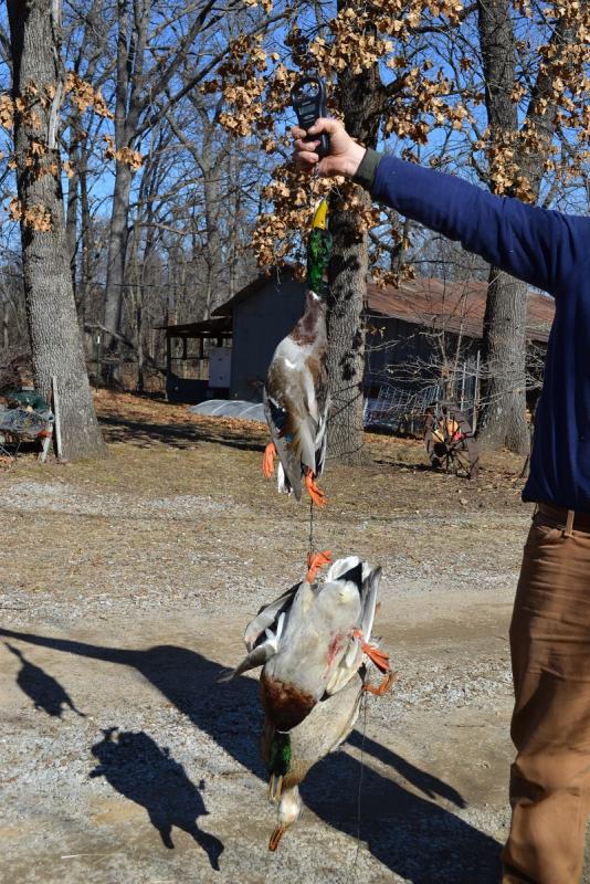 post-8405-0-68986700-1390253936_thumb.jp