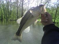 post-5984-13030024372249_thumb.jpeg