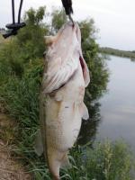 post-8570-0-09126800-1336357662_thumb.jp