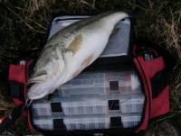 post-8570-0-30080300-1336357114_thumb.jp