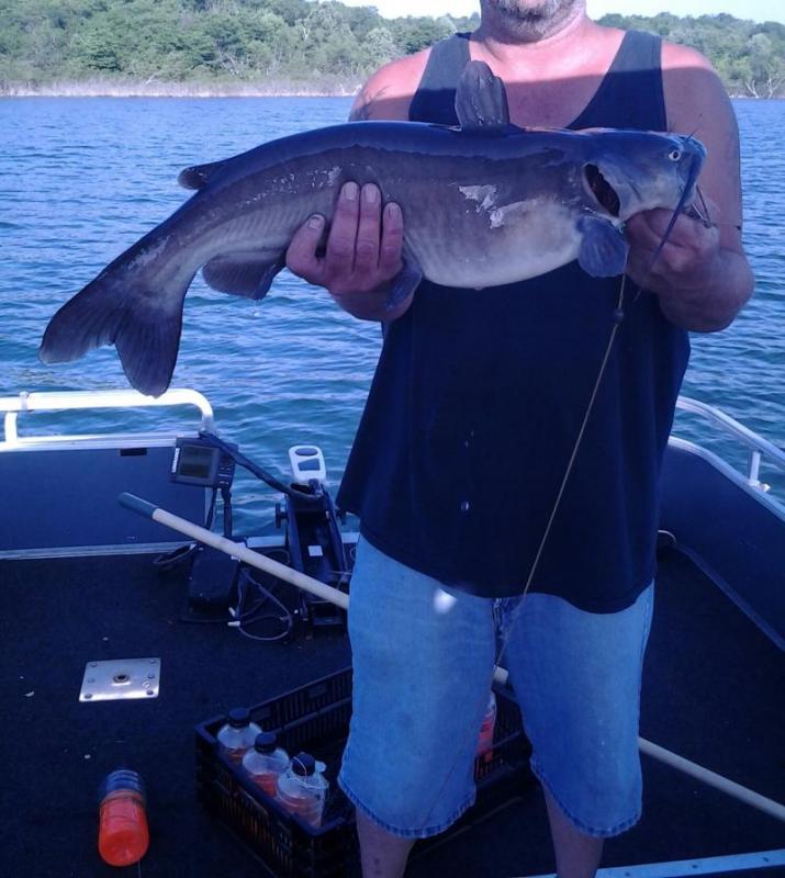 Jug Fishing/bait - Pomme De Terre Lake - OzarkAnglers.Com Forum