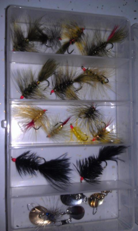 post-10285-0-12960300-1371658134_thumb.j