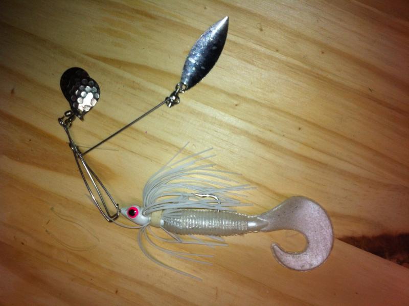 Spinner and Buzz Baits