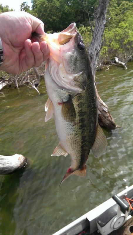 post-9067-0-37650400-1401592773_thumb.jp