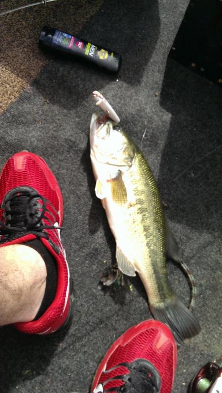 post-9067-0-83637700-1401592787_thumb.jp