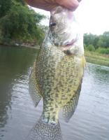 post-9204-0-23902500-1346022533_thumb.jp