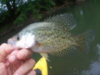 post-9204-0-24573400-1346022527_thumb.jp