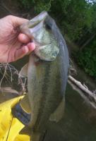 post-9204-0-77579000-1346022547_thumb.jp