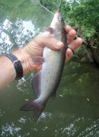 post-9204-0-93857800-1346022509_thumb.jp