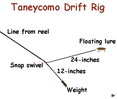 How To Tie A Drift Rig? - General Angling Discussion - OzarkAnglers.Com  Forum