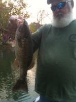 post-5746-0-36887300-1350877081_thumb.jp