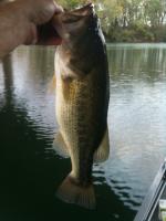 post-5746-0-60995200-1350877056_thumb.jp