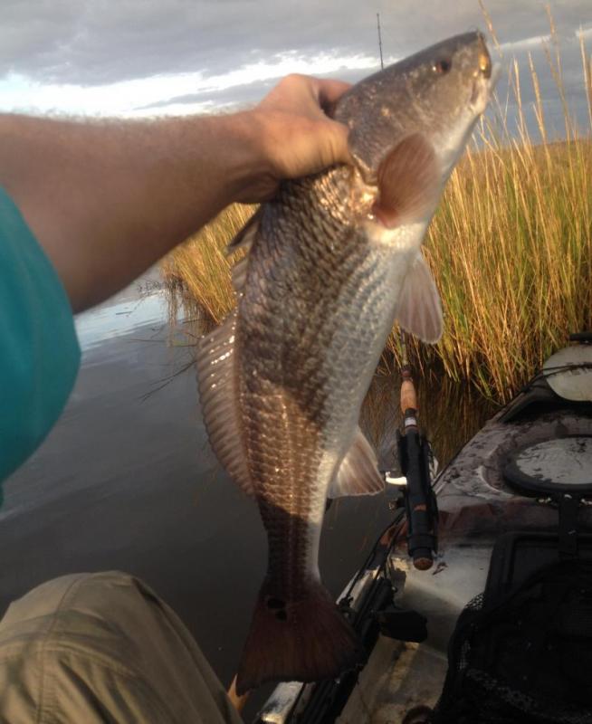 post-8651-0-16503500-1415901601_thumb.jp