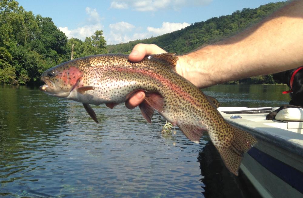 IMG_2305.thumb.JPG.c26b6b710f2b0633dc03e