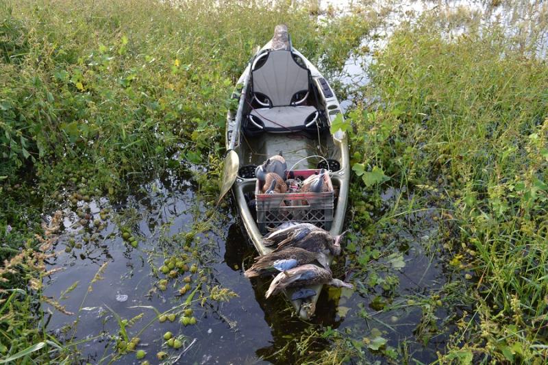 Duck Hunting Kayak Setup: Kayak Duck Blind