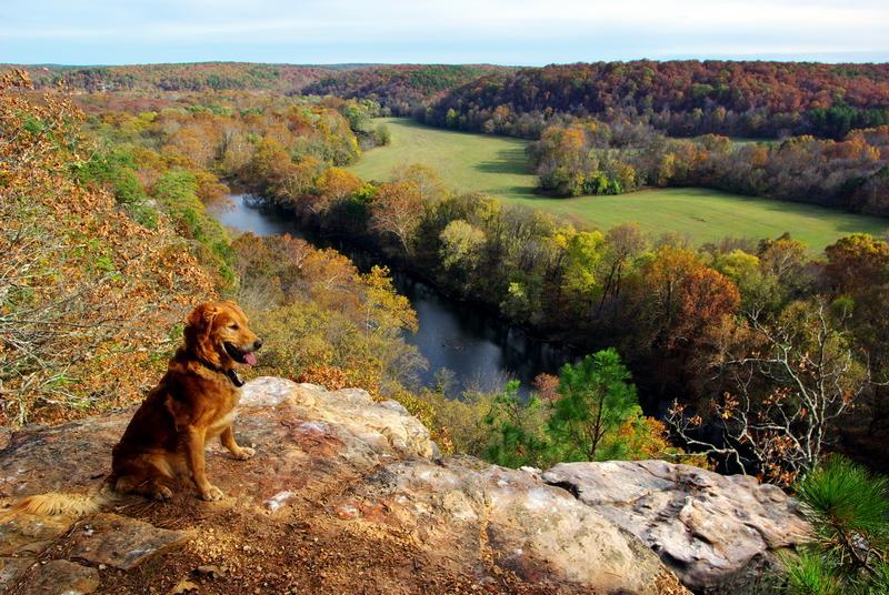 IMGP6434.jpg, Doc, Piney overlook, fall, day.jpg, small.jpg