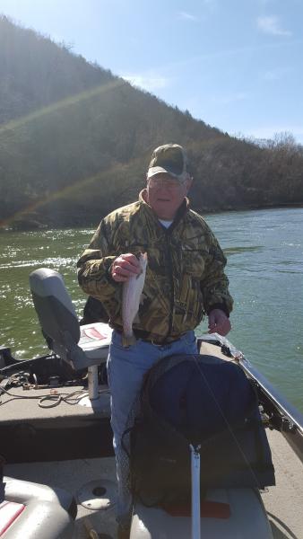 image.jpeg.c435711f365b530efa47484da0c43