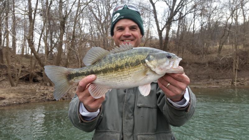 Telling spotted bass from largemouth - General Angling Discussion ...