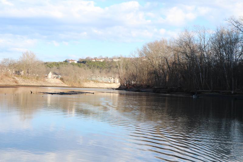 IMG_4145.JPG.6790b2e4bdb0634c2b5a7b472c7