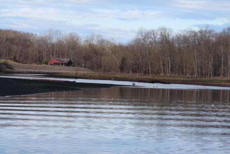 IMG_4177.JPG.2c8c9ef69632e4f7c15f2c5e8ca