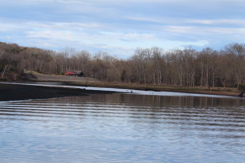 IMG_4179.JPG.ebd8cf8d0987a158c836cd8209b