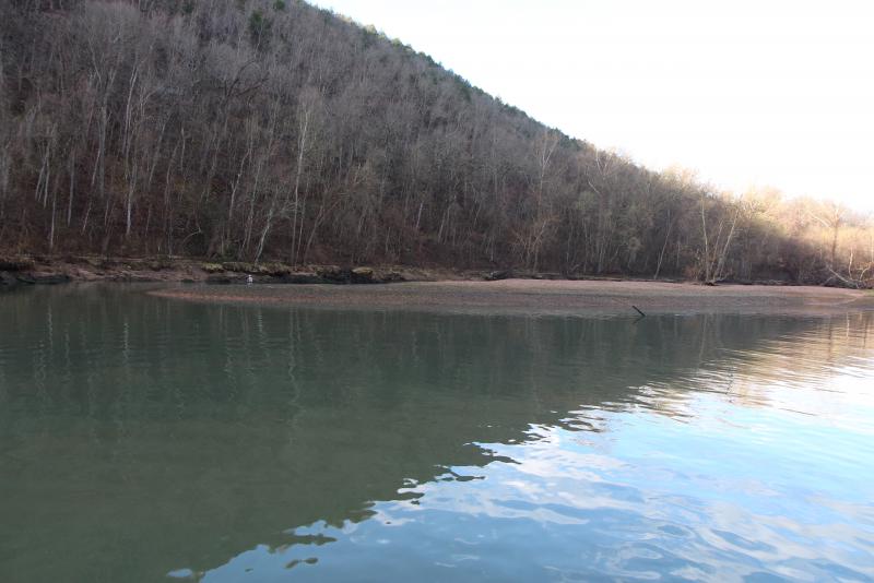 IMG_4189.JPG.b499f7606395e77f8814e125423