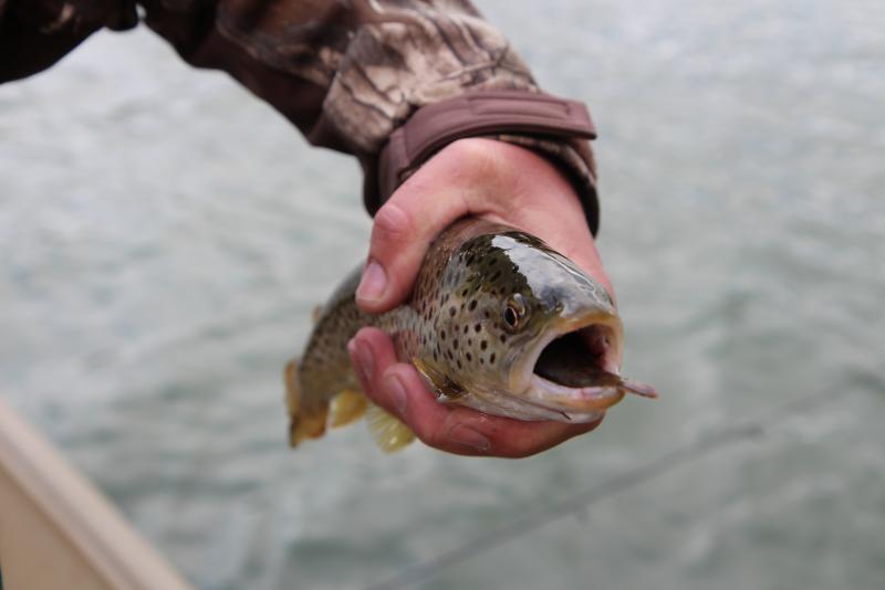 IMG_4206.JPG.e168acc5484a3a9cdc9299f4d65