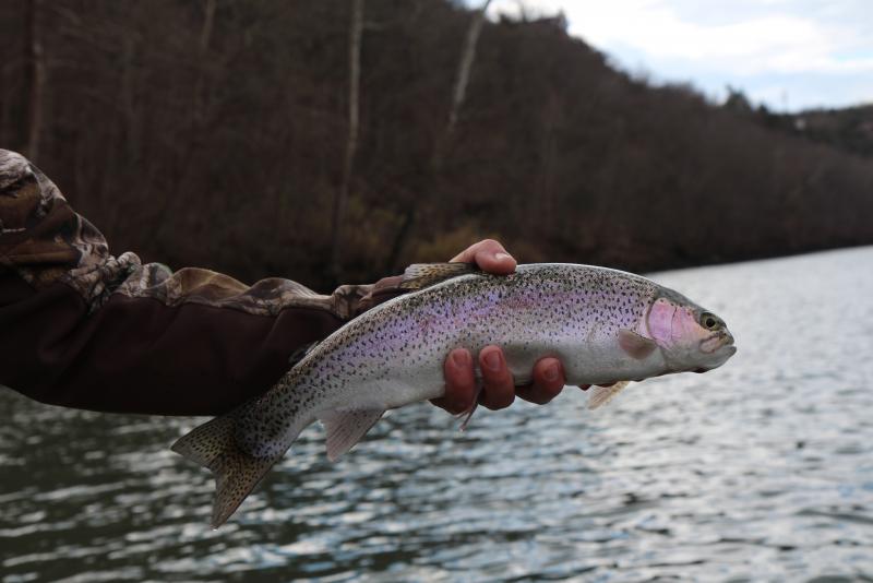 IMG_4214.JPG.9f3187691030c693bad0d608a36