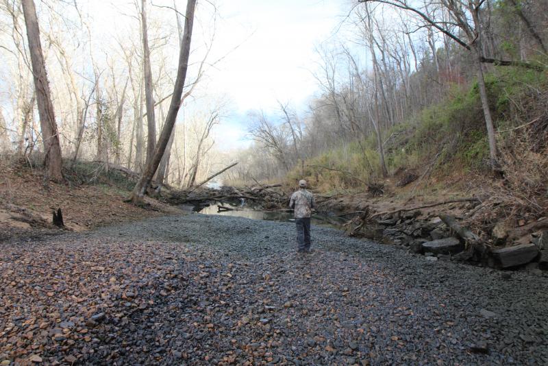 IMG_4218.JPG.bb95d5db8eef923158627422a77