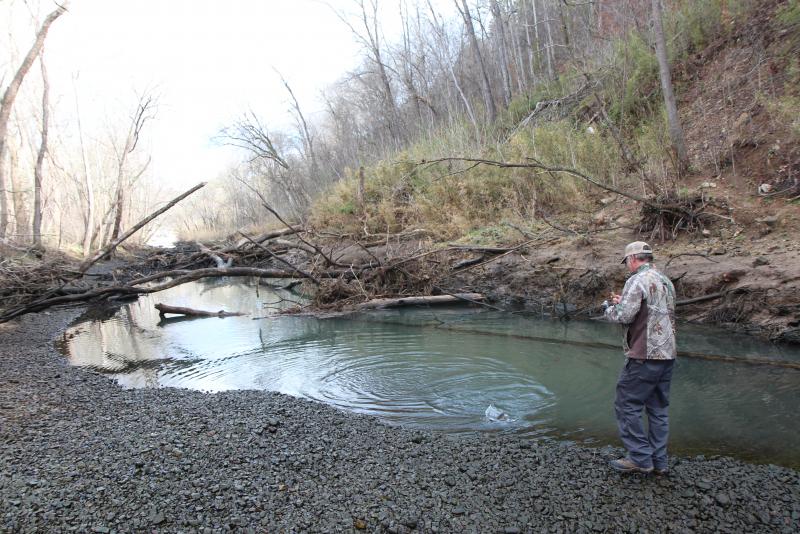 IMG_4234.JPG.f0fa9dcb095517c56c720be1755