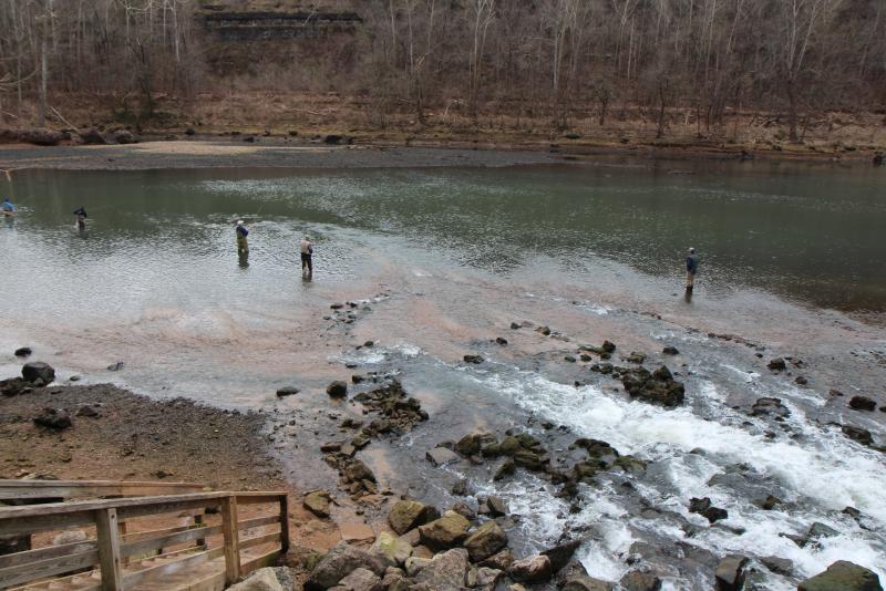 IMG_4244.JPG.4098bbbf45ad2efa1174534dd69