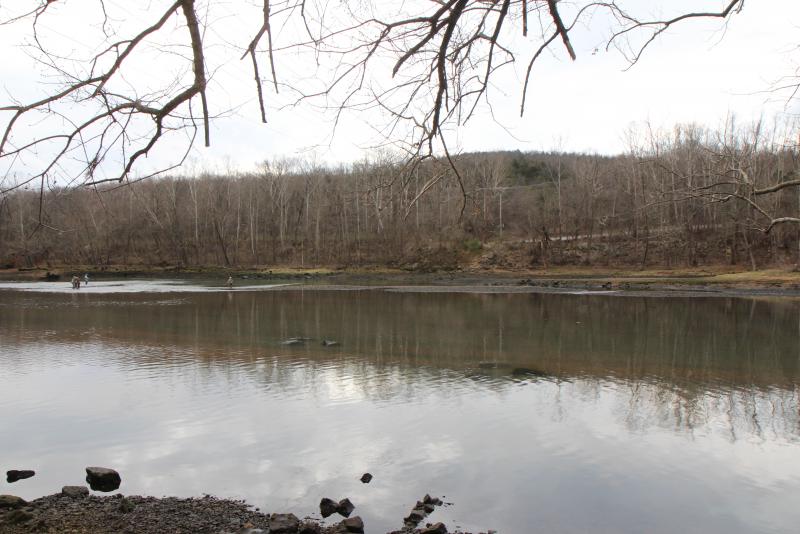 IMG_4249.JPG.4f2e6e32b12e65db86c8d50d480