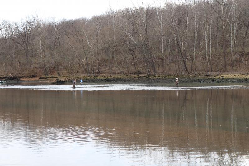 IMG_4254.JPG.65c0a9ae23cf31826293cbc43c8