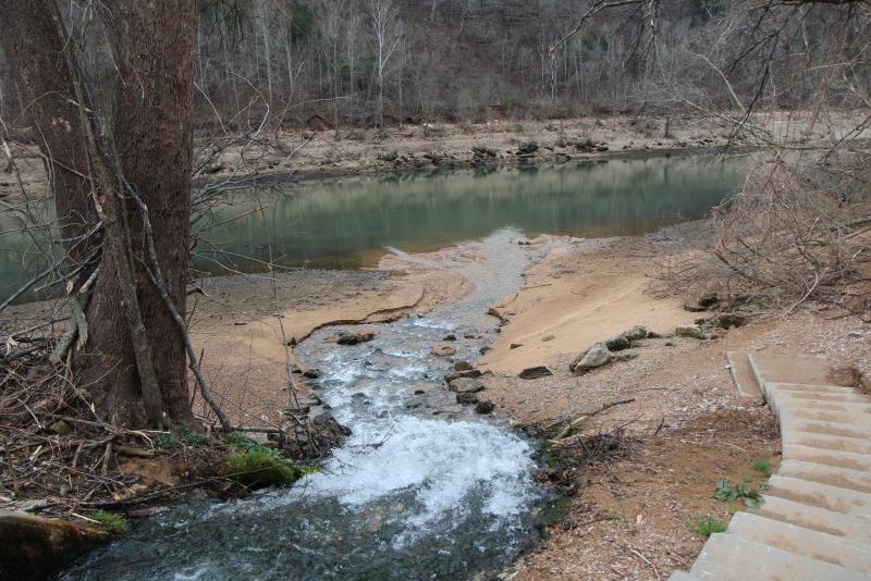 IMG_4260.JPG.c17db894d51e61a7d7fe6ad5ee6