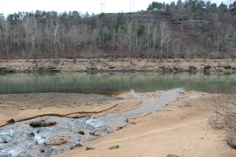 IMG_4264.JPG.456ae28304bf4fc6d4342a4bb25