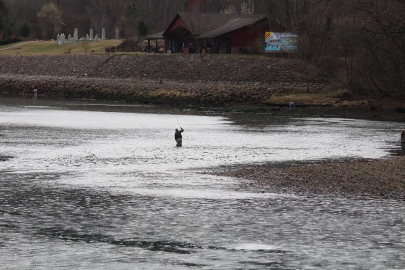 IMG_4282.JPG.8cf119e53778e28fe5752aecdbf