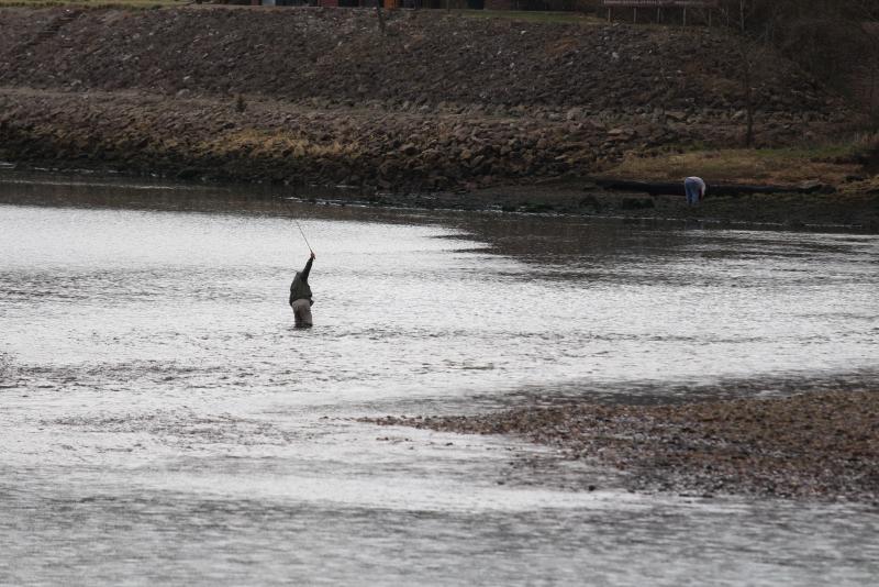 IMG_4286.JPG.faf305a0e728f475b80876c1ccf