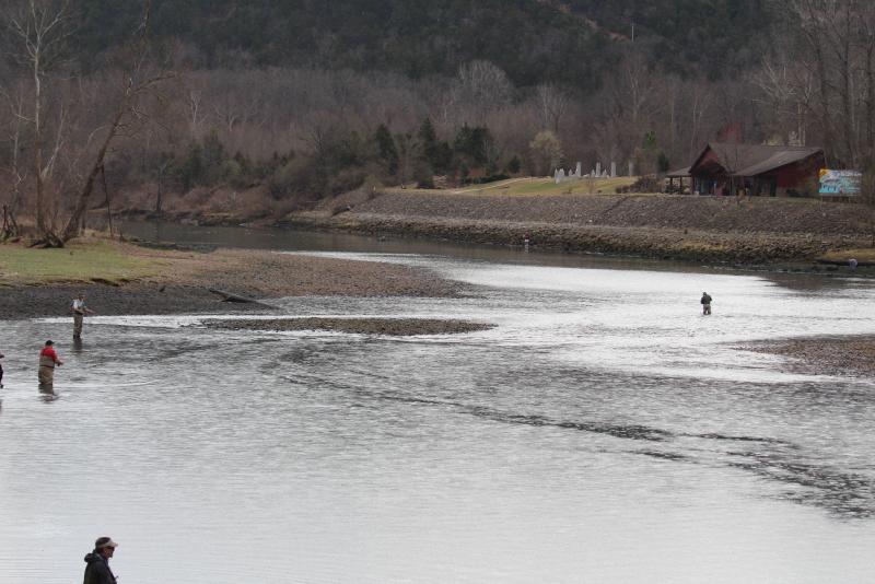 IMG_4288.JPG.dc5cd12d25f24ec5c24e14ee290