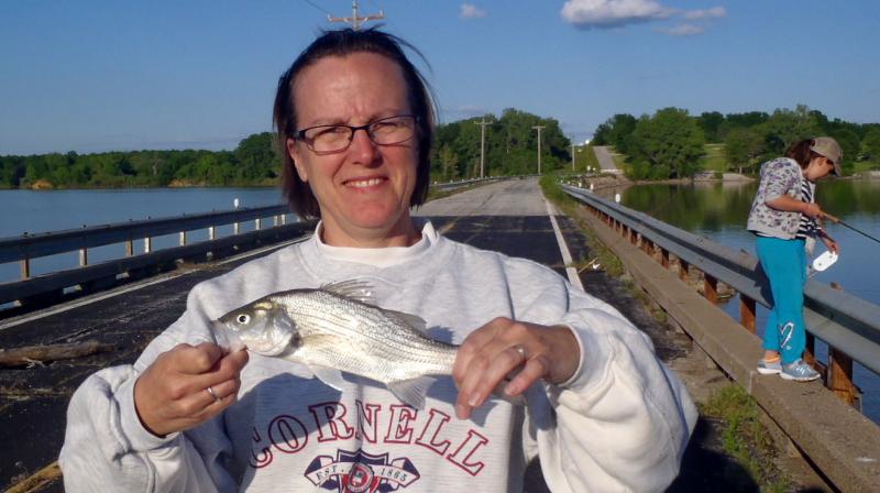 Sue with 1st hybrid - Thomas Hill - 18May16.JPG