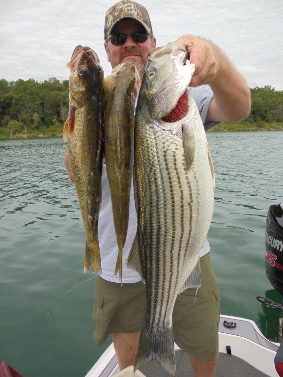 Walleye and Striper Fishing On Norfork Lake Arkansas Out of Blackburns Resort and Boat Rental.