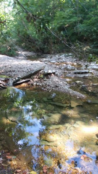 Creek_-_Guthrie_NF_-_18Aug16.jpg