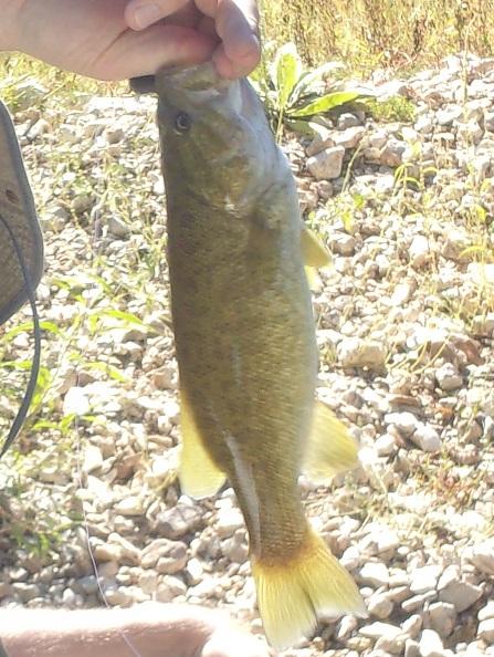 2016-09-11 smallie3.jpg