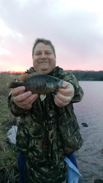 Green Sunfish (1) - Little Dixie - 23Feb17.jpg