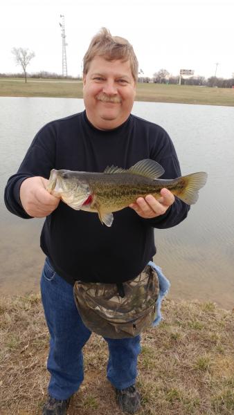 Largemouth_bass_-_EAG_pond_17Mar17.jpg