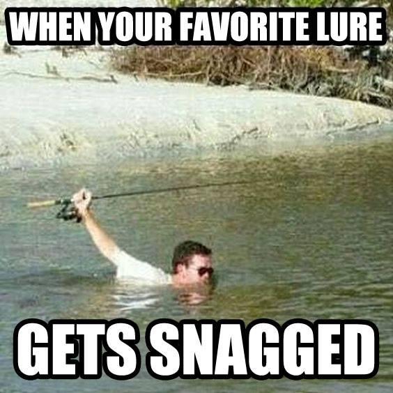 bestlure.jpg