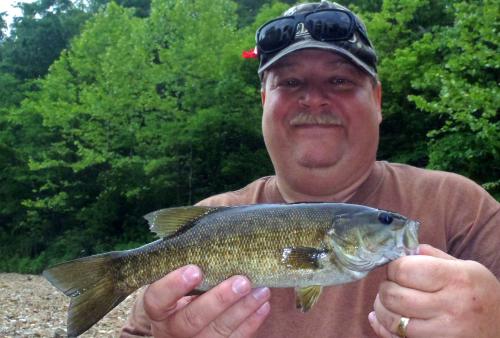 Smallmouth Bass - Maries River - 27May17.JPG