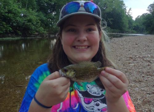 Olivia - Northern Rock Bass (1) - Maries River - 27May17.JPG