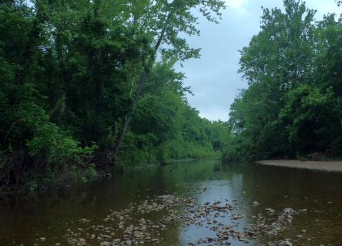 Maries River upstream - 27May17.JPG